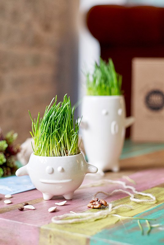 Набор для выращивания eco "Кру" ЭКОЧЕЛОВЕКИ  254572 Белый  - Вид №5