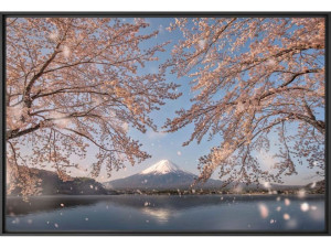 Печать фотографий на бумаге