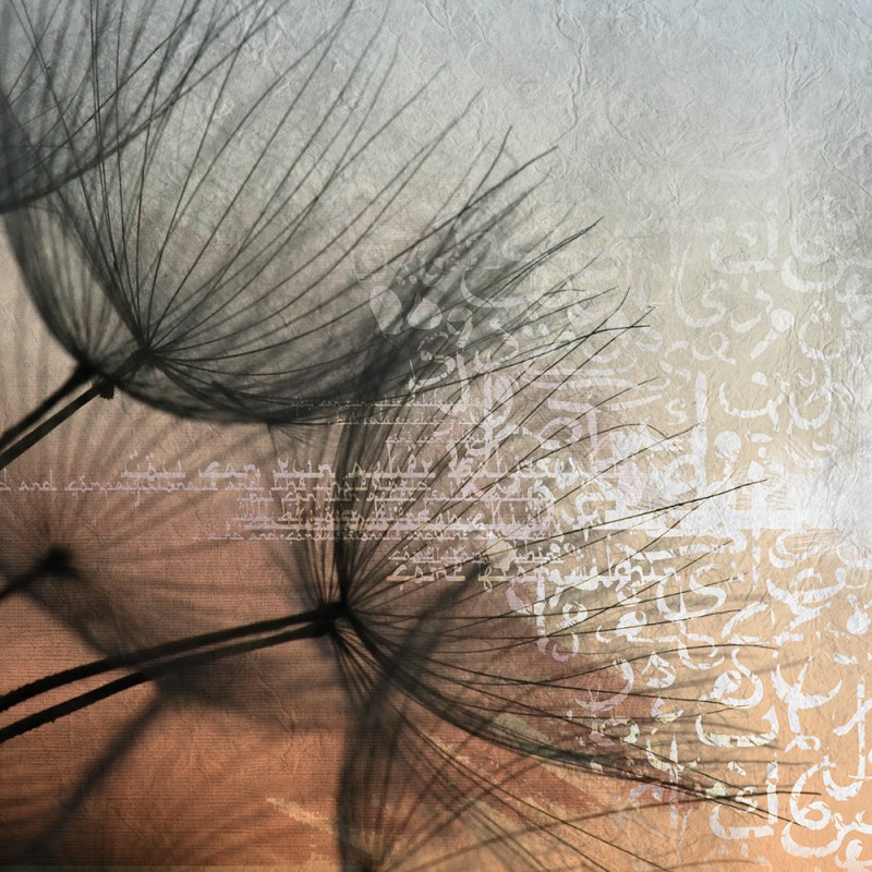 2266/CX38 Картина 2266 Adriani e Rossi 