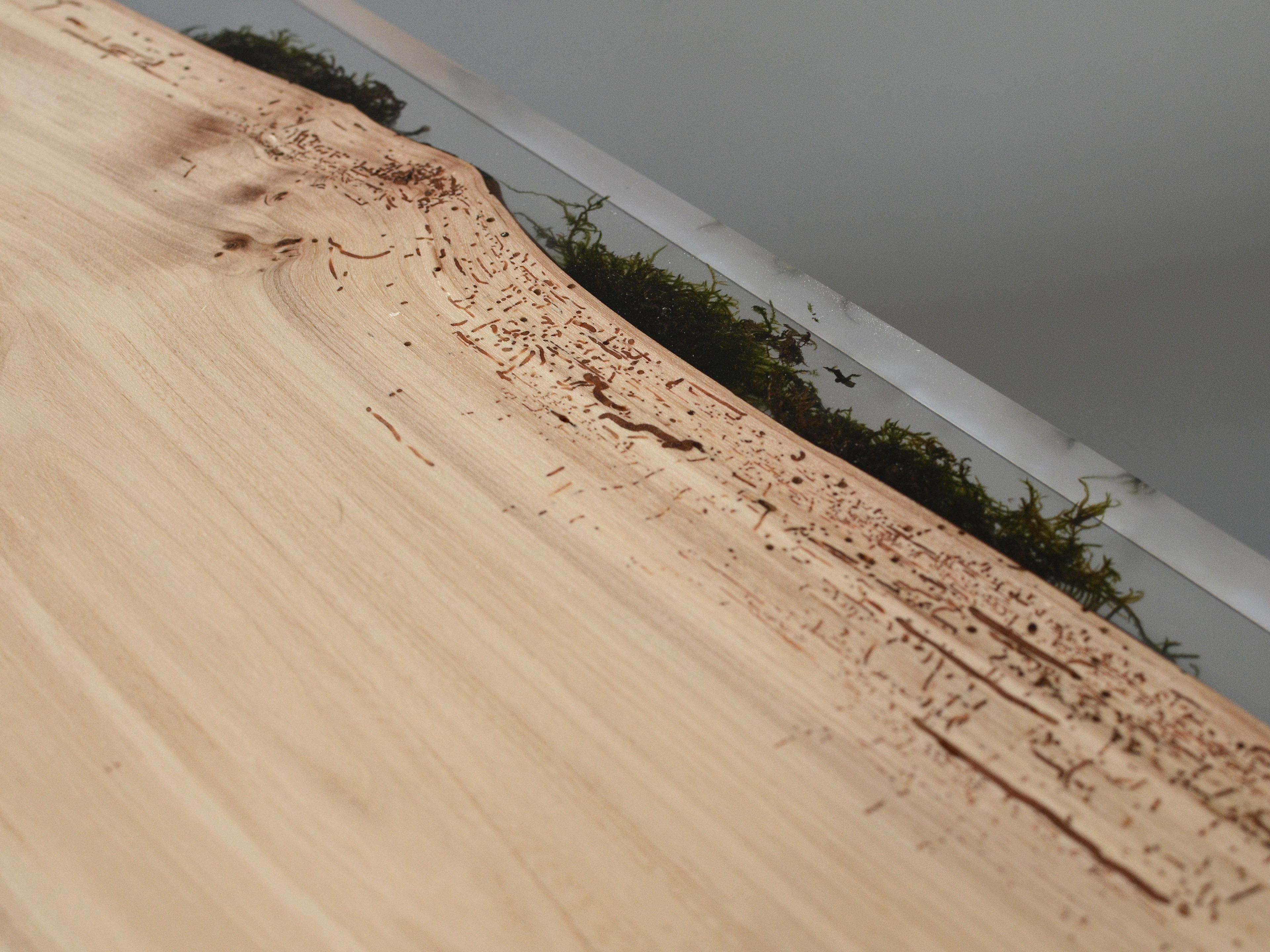 Скамейка из массива дерева alcarol Undergrowth ARCH-00046273 - Вид №5