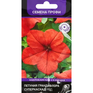 Семена цветов Поиск петуния грандифлора Суперкаскад Ред 10 шт.
