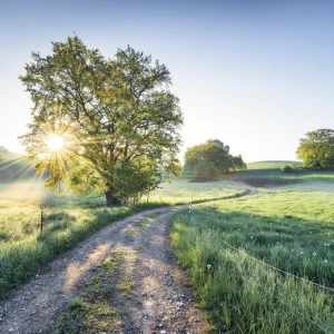 SH084-VD4-A-New-Day-in-Paradise Фотообои Komar Stefan Hefele 2.5х4 м