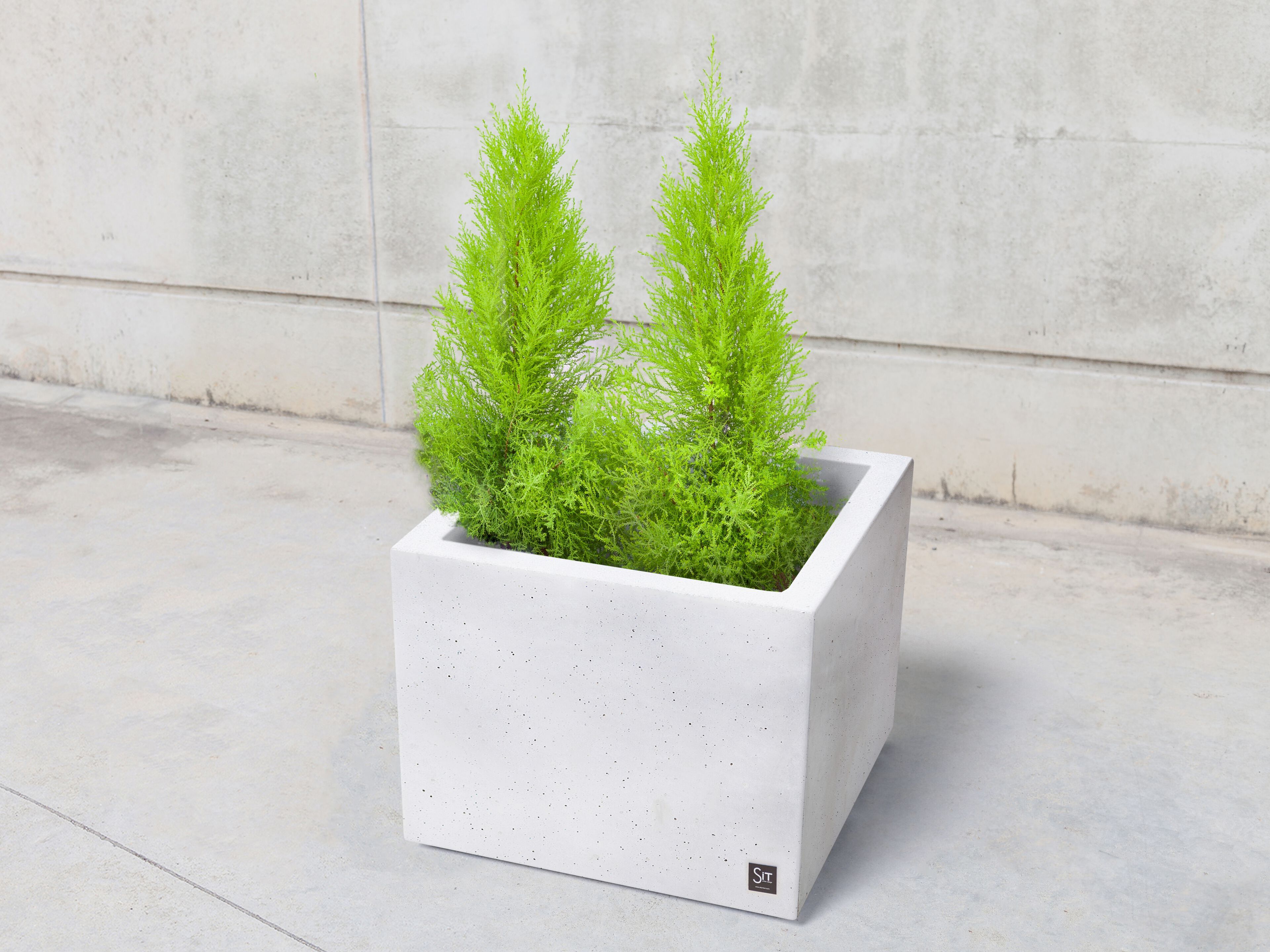 Бетонная квадратная плантатор SIT Box to Box ARCH-00074671