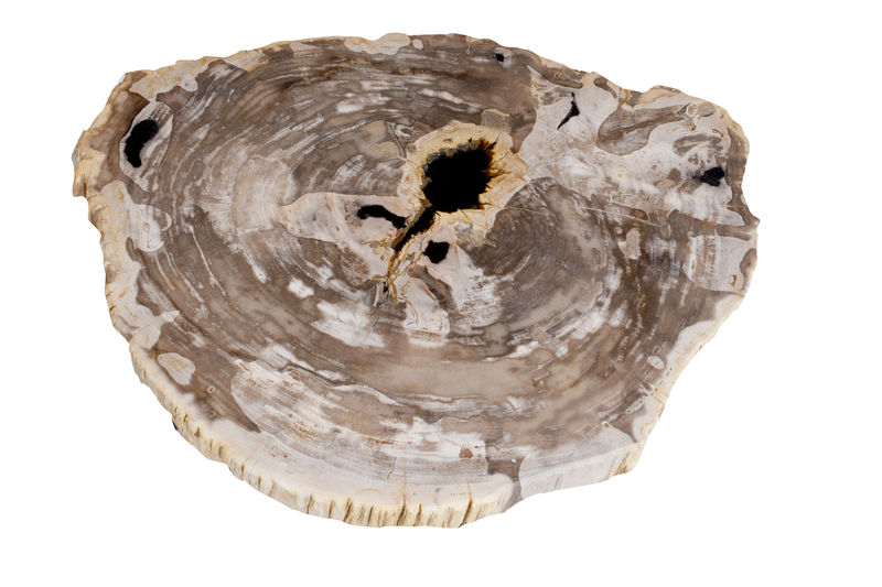 FUBR040 Приставной столик из окаменелого дерева ijlbrown  - Вид №1