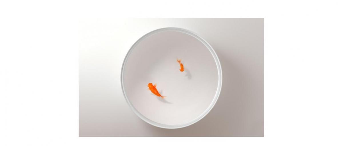 001753 Журнальный столик Up in the air Viccarbe  - Вид №2