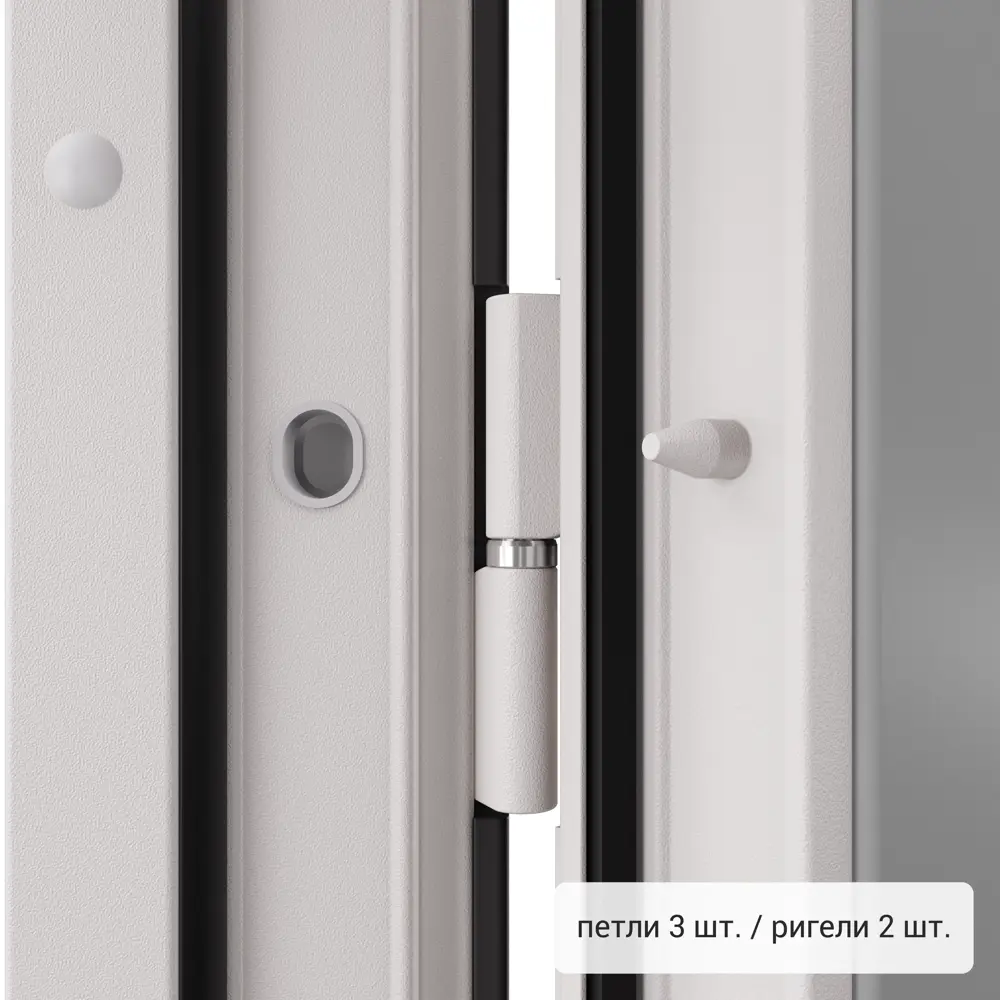 Дверь входная металлическая Фолд тэя 950 мм левая TOREX STLM-2016456 - Вид №6