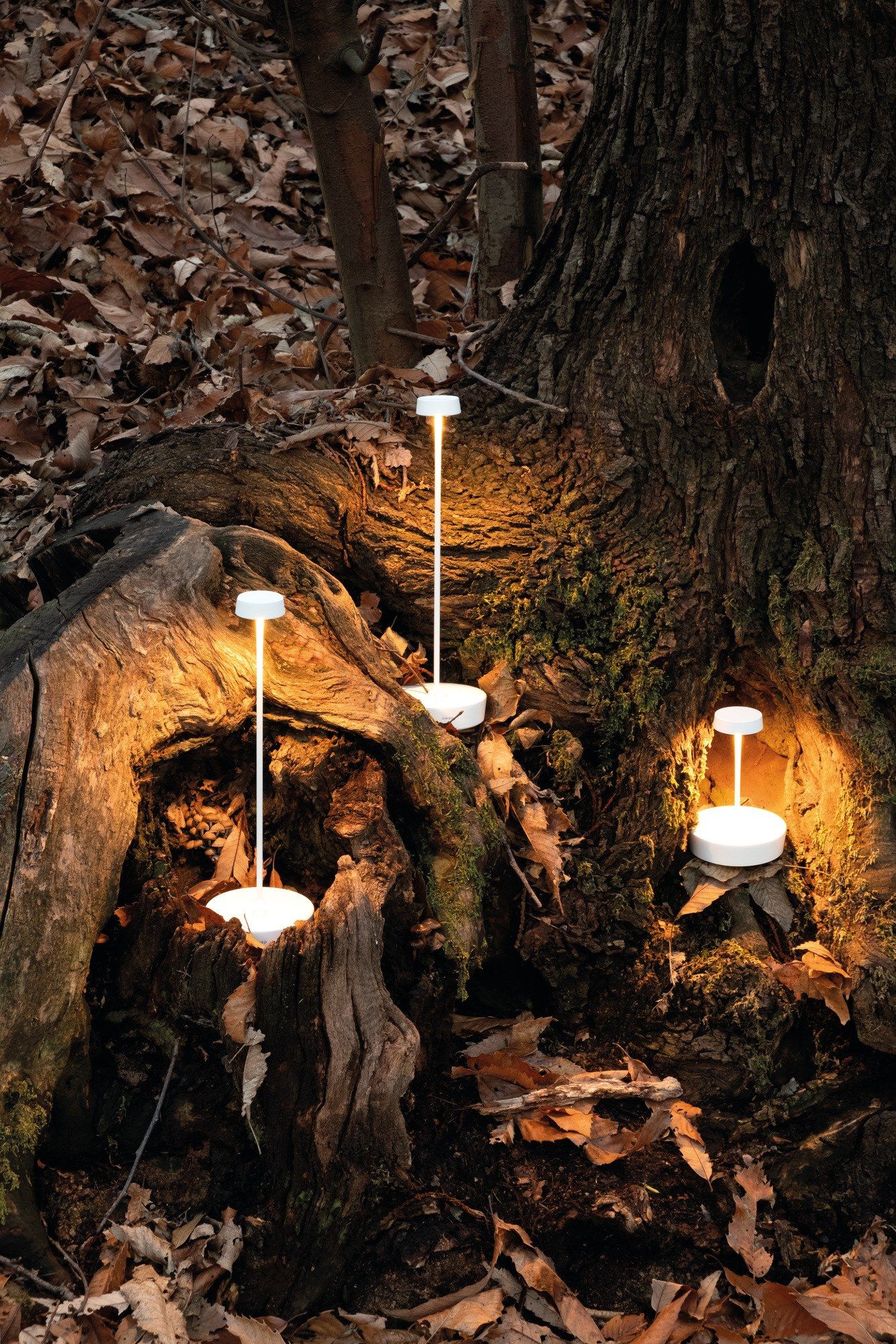 Алюминиевая светодиодная настольная лампа с диммером Zafferano Swap ARCH-00013424 - Вид №6