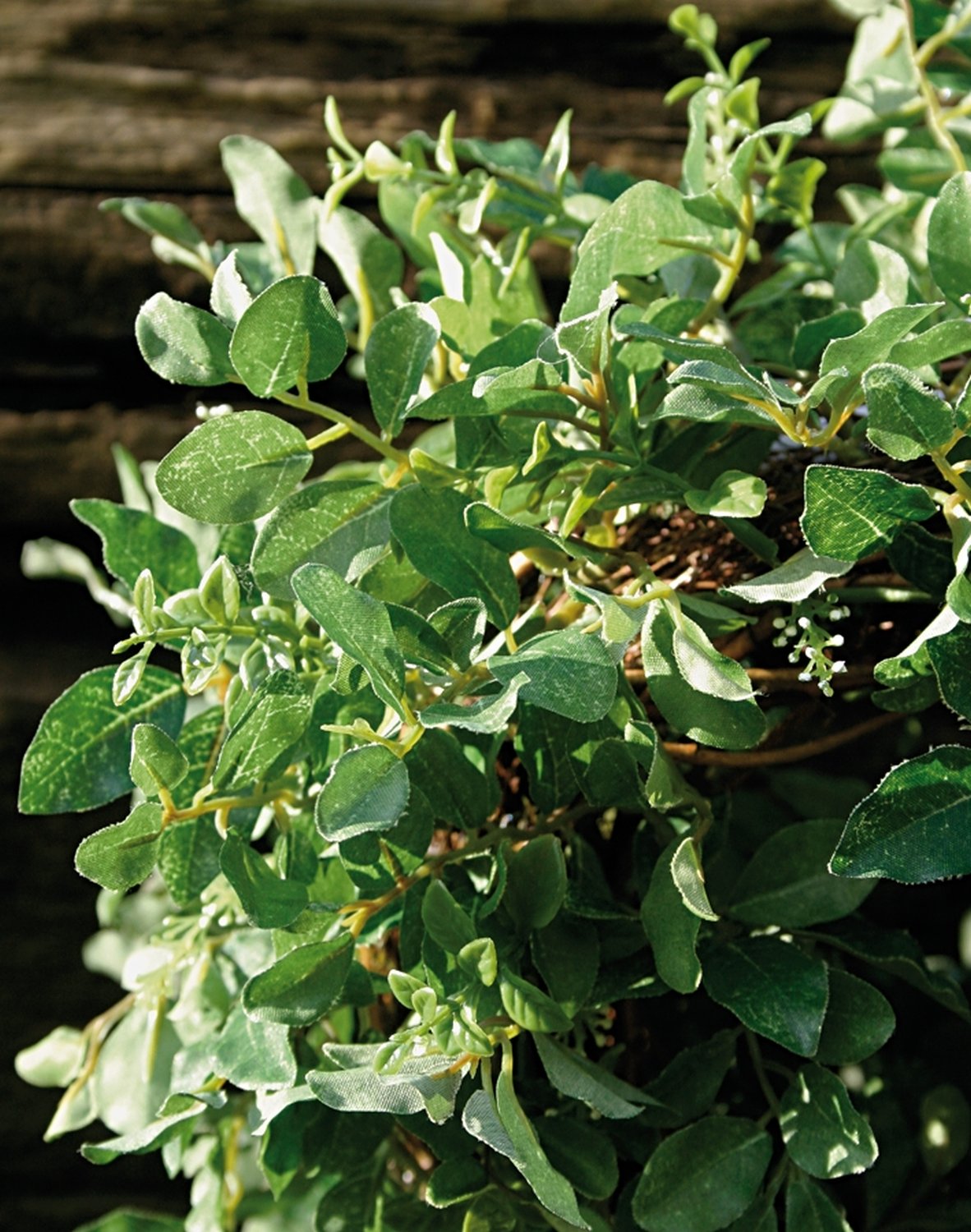 4990 883 a3 Венок из самшита, горшок, 34 см, зеленый H-andreas 