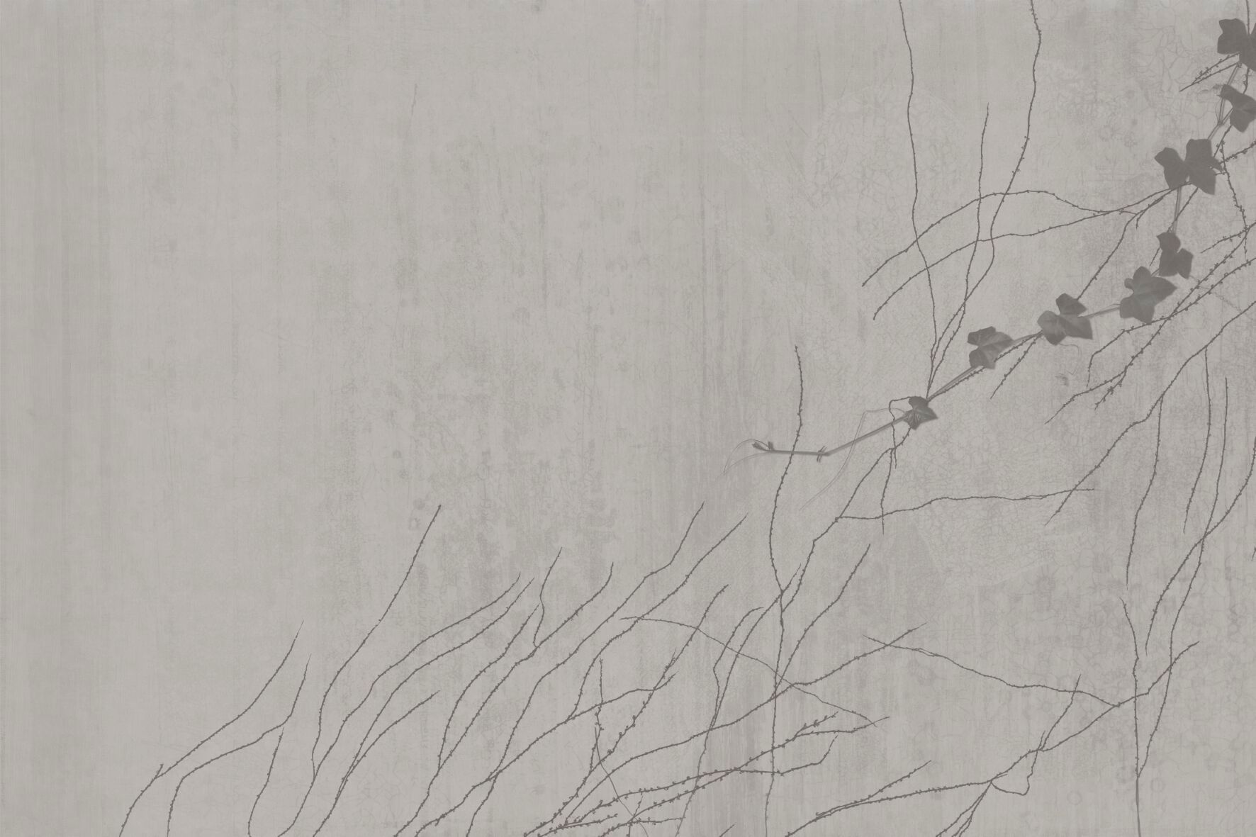 Обои с рисунком GLAMORA A ORIENTE ARCH-00103161 - Вид №3