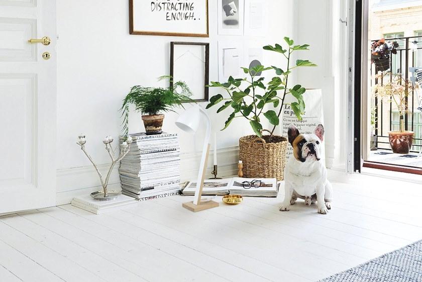 LUZ EVA Настольная лампа с прямым светом sun-id-1402501 - Вид №2