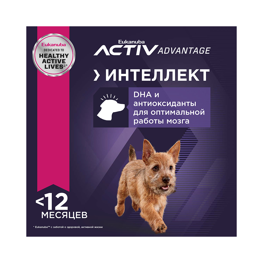 ПР0033060 Корм для щенков для мелких пород сух. 800г Eukanuba  - Вид №5