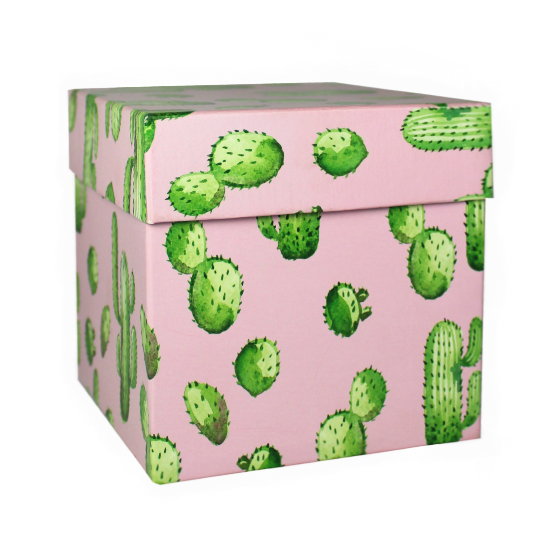 509867 Коробка подарочная "Кактусы", 12,5 х 12,5 х 12,5 см Santreyd 