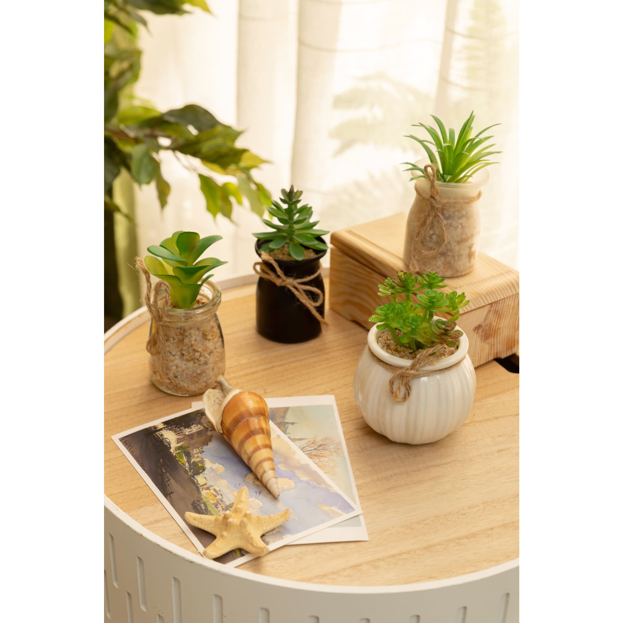 82877381 Суккулент микс 4 варианта 12x25 см Santreyd  - Вид №4