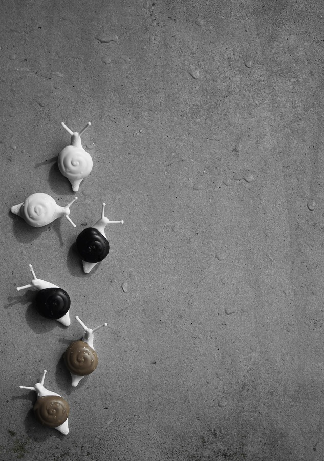 QL10289-MX Магниты snail, 6 шт. Qualy  - Вид №2