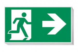 DST-481 Lisu Daisalux Светильники аварийные Серебристо-Серый