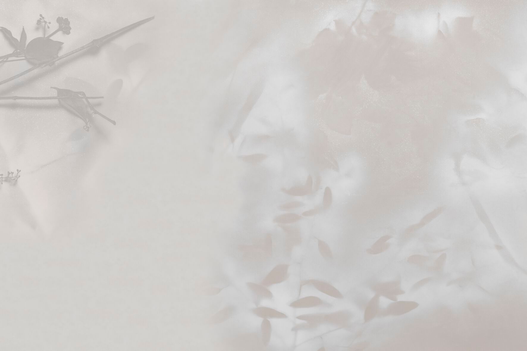 Панорамные обои GLAMORA Творческая коллекция, глава XIV ARCH-00000810 - Вид №2