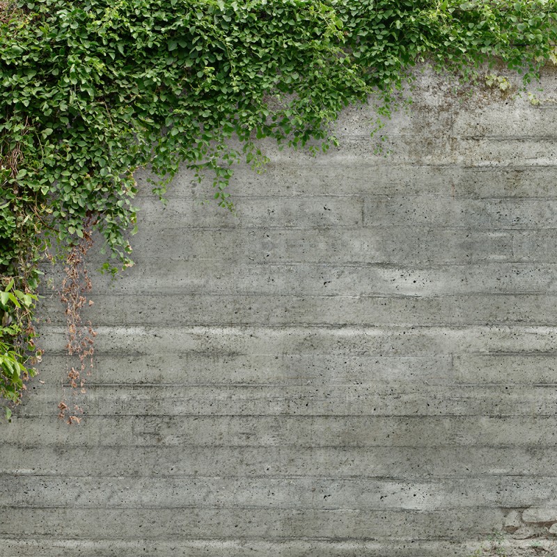 WP02067A Обои декоративные Adriani e Rossi 