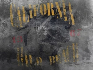 Tecnografica Обои с тиснением I decorativi 62738