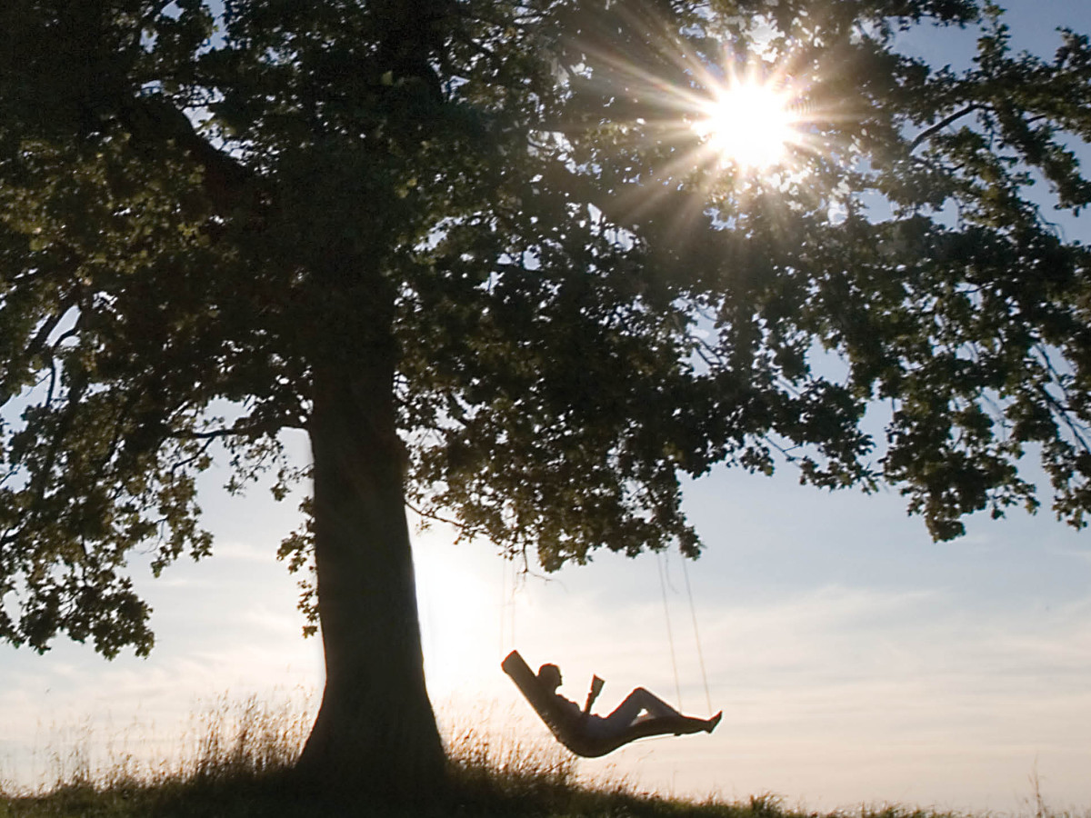 64.00.0429 Крестовина крепления односпального шезлонга Heaven Swing Mbm  - Вид №1