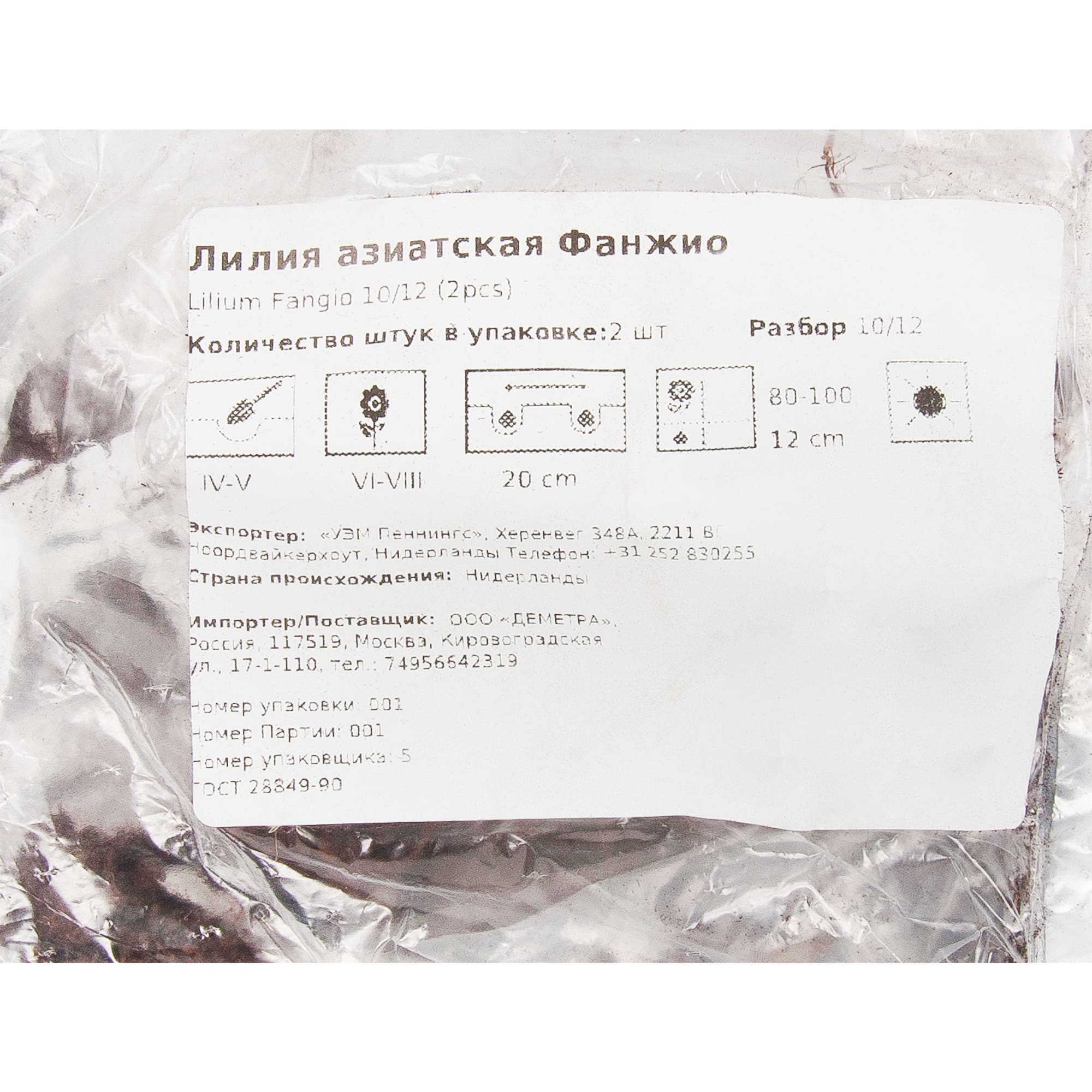 83760991 Лилия азиатская Фанжио луковица II Santreyd  - Вид №1