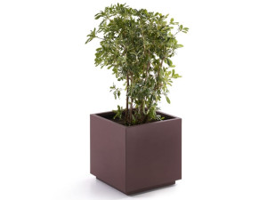 Окрашенный металлический квадратный плантатор