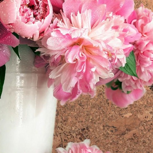 Пробка CorkStyle Wall design Vico Nat (Гладкая) 600х300 мм 1000900033 - Вид №1