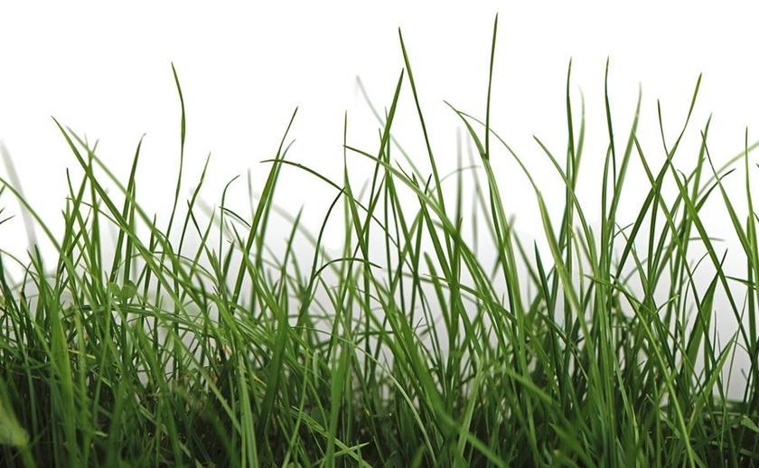 Architects Paper Обои с цифровой печатью Ap digital iv 109160 - Вид №1