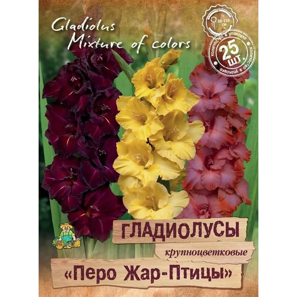 Гладиолусы крупноцветковый Перо Жар-птицы, 25 шт ПОИСК STLM-2113274