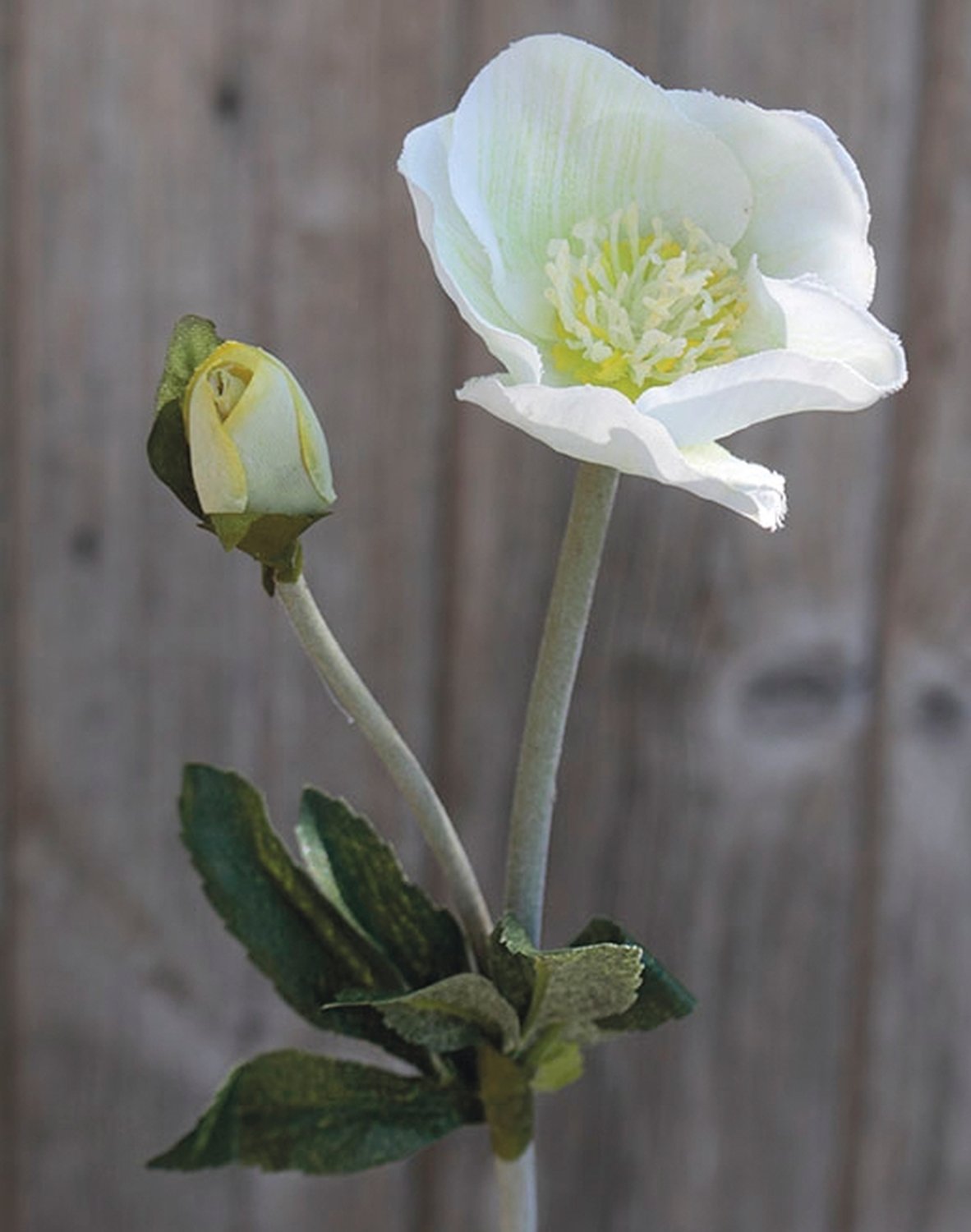 2577 778 a2 Искусственная новогодняя роза, 32 см, бежево-белая H-andreas 