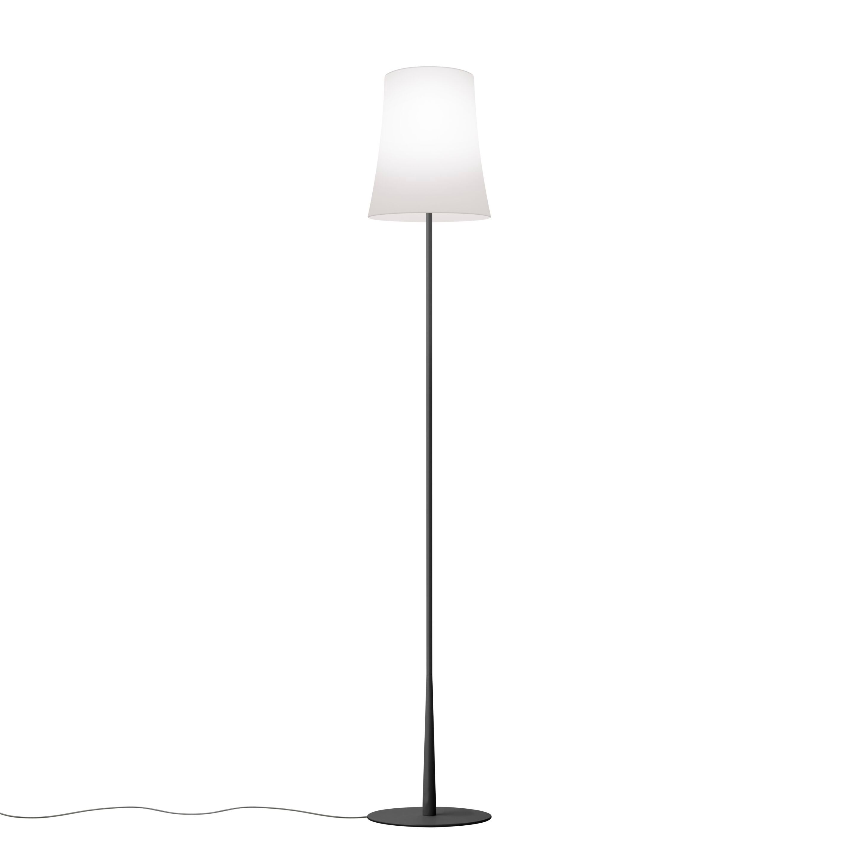 Напольная лампа из поликарбоната и окрашенного алюминия Foscarini птичка ARCH-00006770 - Вид №1