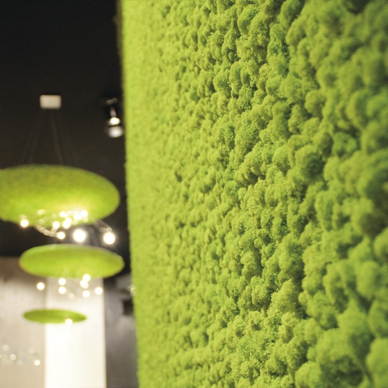 VER001 Лишайник Adriani e Rossi 01 Мох светло-зеленый  - Вид №1