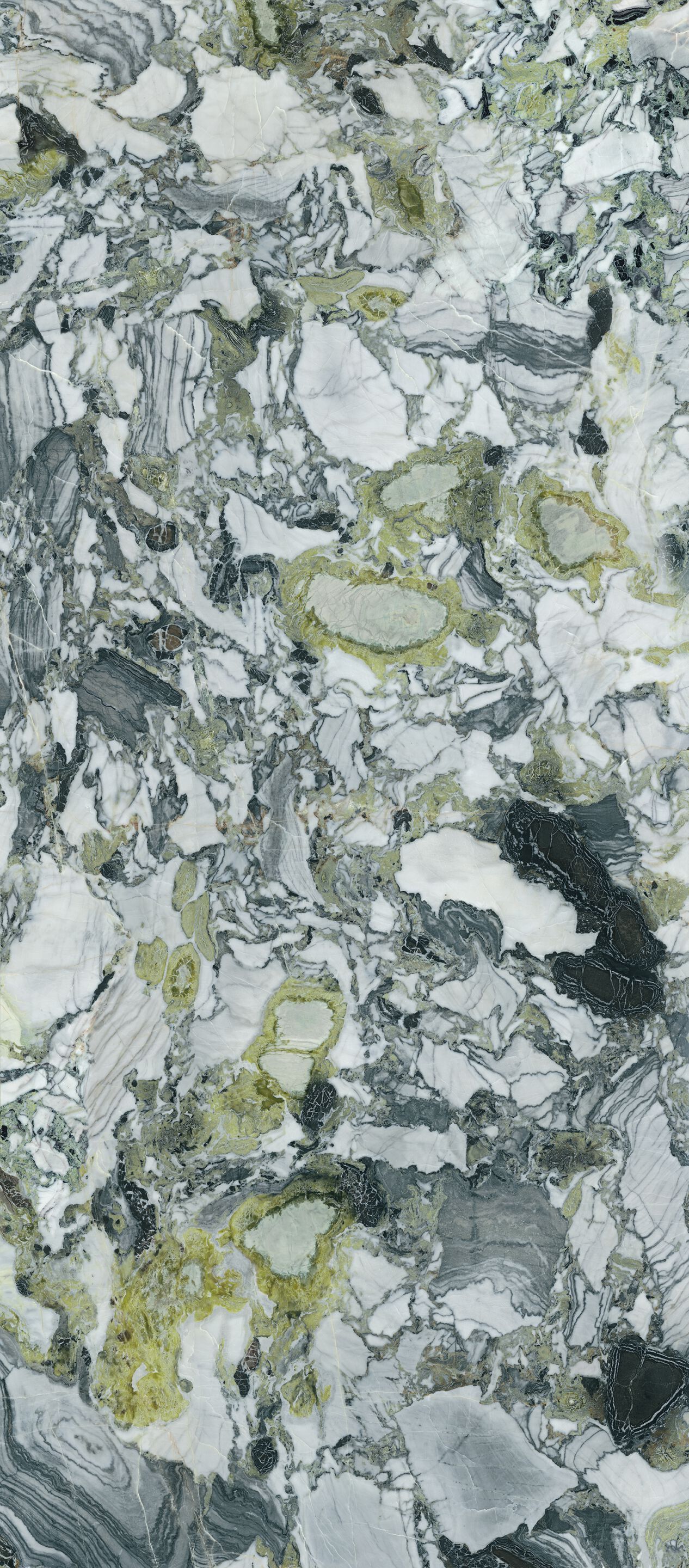 Пол / керамогранит с мраморным эффектом CERAMICA FONDOVALLE Infinito 2.0 ARCH-00139804 - Вид №1