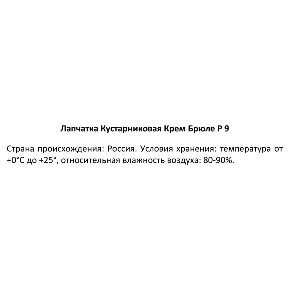 Лапчатка кустарниковая Крем Брюле ø9 h30 см 89364981 STLM-2137684 Santreyd  - Вид №3