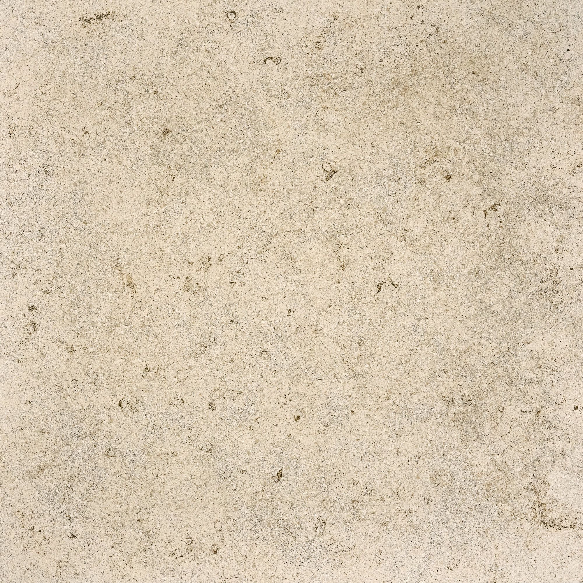 Керамогранит / напольное покрытие ARIOSTEA ELEMENTAE FULL BODY ARCH-00037450 - Вид №8