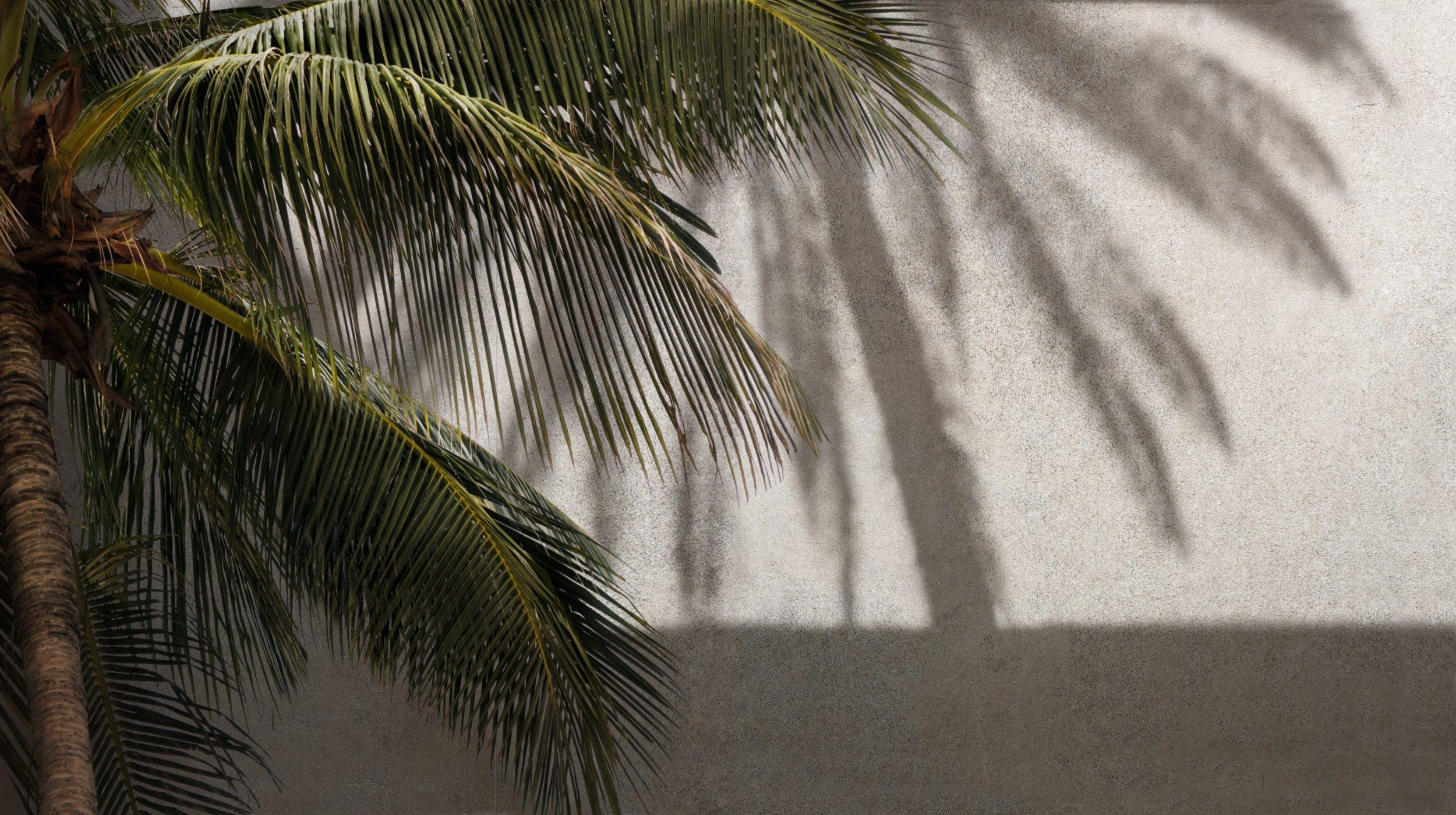 Пол / облицовка керамогранита для внутреннего и наружного применения с эффектом цемента Florim Ceramiche SENSI ARCH-00151192 - Вид №15