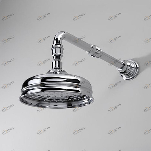 Душевая лейка AQ5115/SNCR Devon Devon SHOWER Devon&Devon AQ5115SNCR