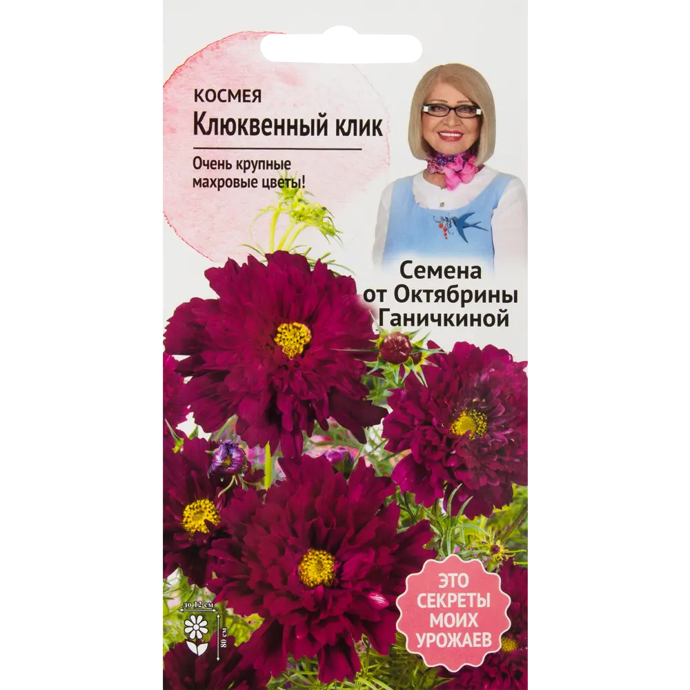 Космея «Клюквенный клик» 0.1 г 82481613 STLM-2119192 СЕМЕНА ОТ ОКТЯБРИНЫ ГАНИЧКИНОЙ 