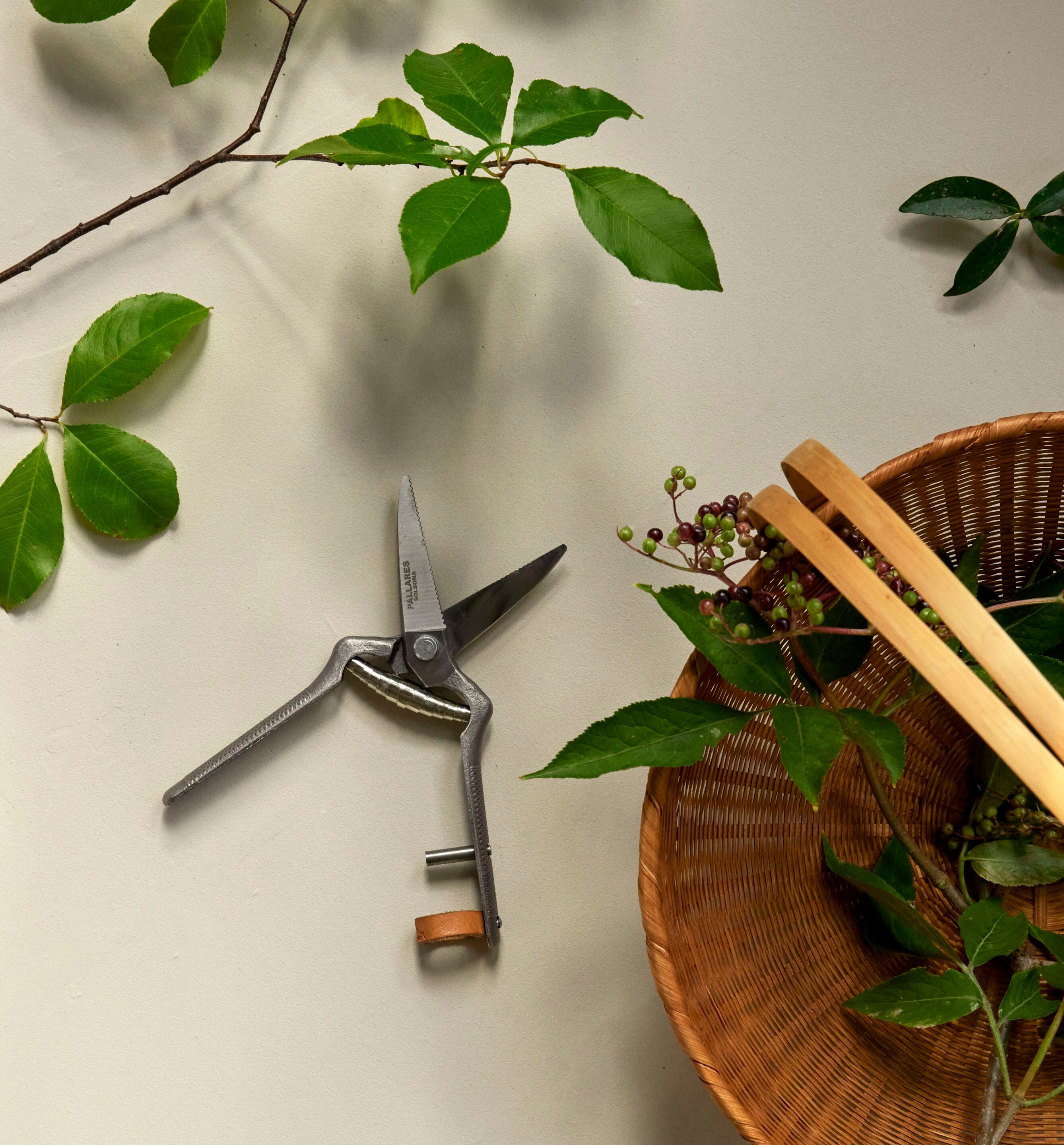 Секатор Audo Copenhagen Pallarès ARCH-00076488 - Вид №8