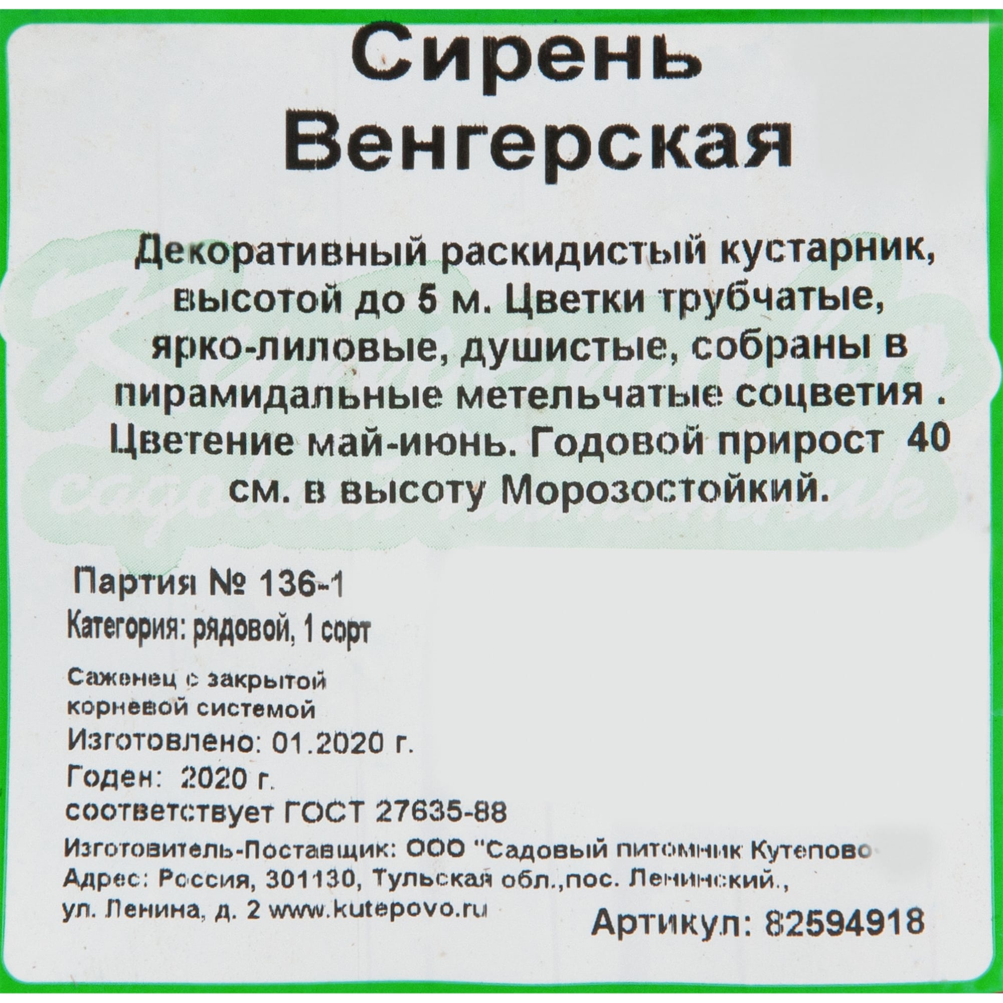 82594918 Сирень венгерская 15x40 см Santreyd  - Вид №1