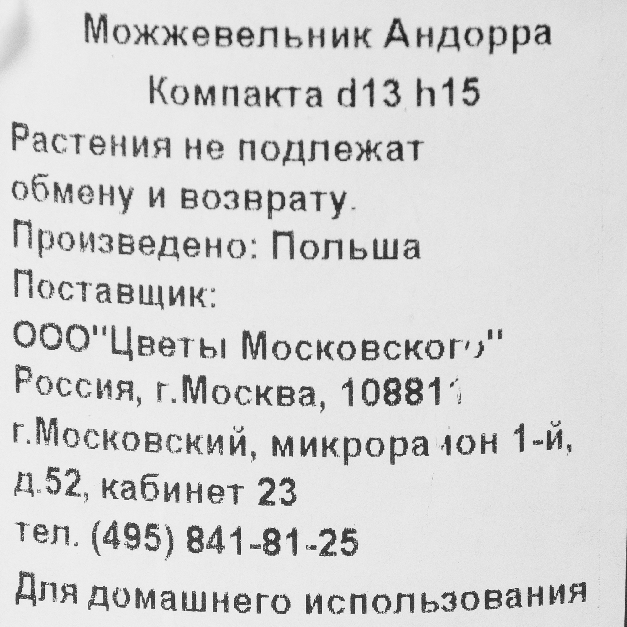 Можжевельник Андорра Компакта Santreyd - серебристо-зеленый хвойный кустарник 82219030 STLM-0022183 - Вид №1