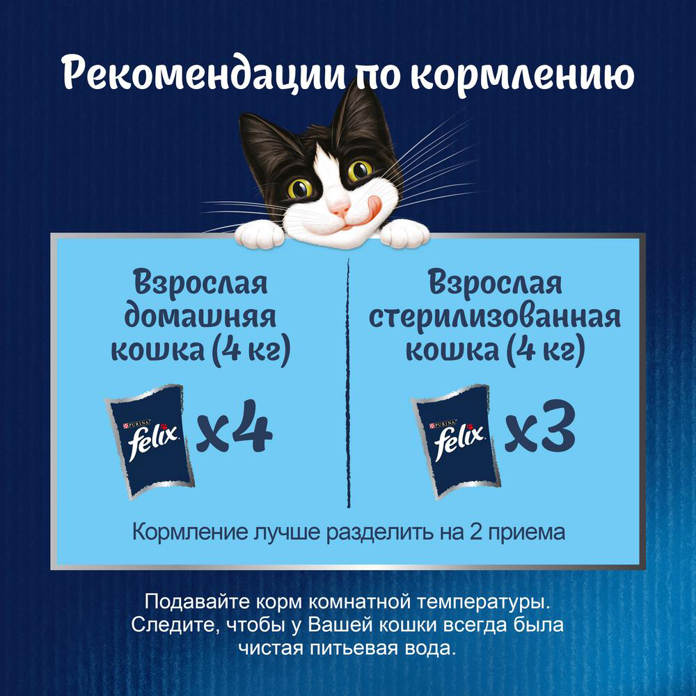 ПР0013786 Корм для кошек Аппетитные кусочки с курицей и томатами в желе, пауч 85 г FELIX  - Вид №6