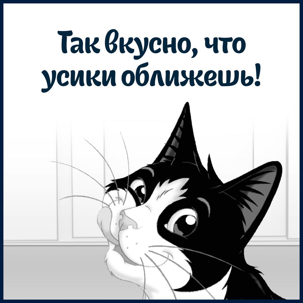 ПР0026298 Корм для кошек Sensations с лососем в желе с добавлением трески, пауч 85 г FELIX  - Вид №8