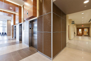 FSRT672 Система облицовки стен Levele с захватными панелями; вставки из склеенной бронзы с натуральной патиной и узором калахари; панели лайтплана из хромисового стекла vivichrome с белой прослойкой и стандартной отделкой в ​​princeton medical arts pavili