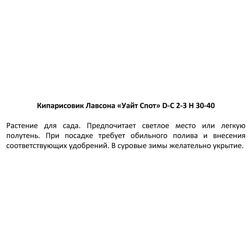 Кипарисовик «Уайт Спот», 17x30-40 см 18382887 STLM-2122120 Santreyd  - Вид №2