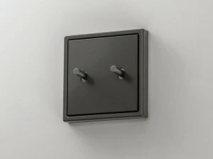 JUNG Двойной переключатель Ls 1912