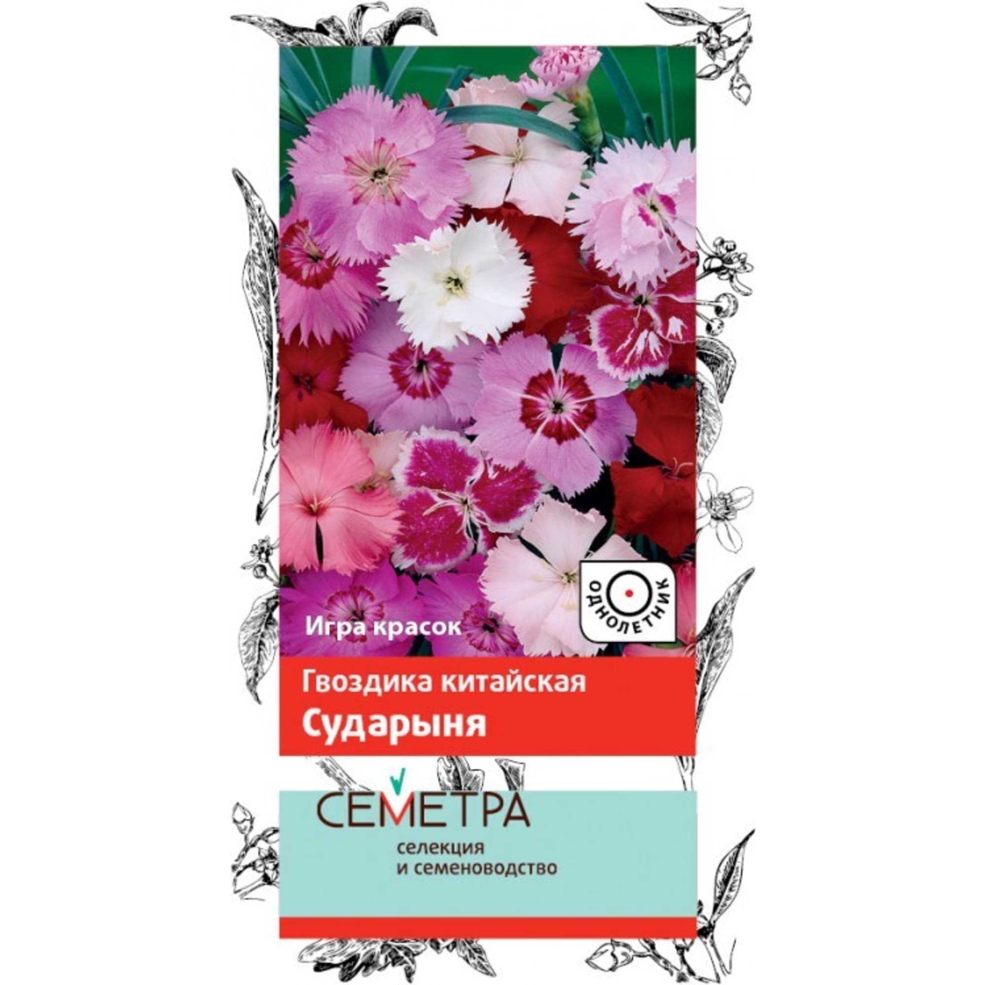 83147199 Семена Гвоздика Китайская «Сударыня» Santreyd 