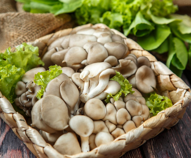 2848 Грибы вешенки фасованные Вкусляндия  - Вид №1