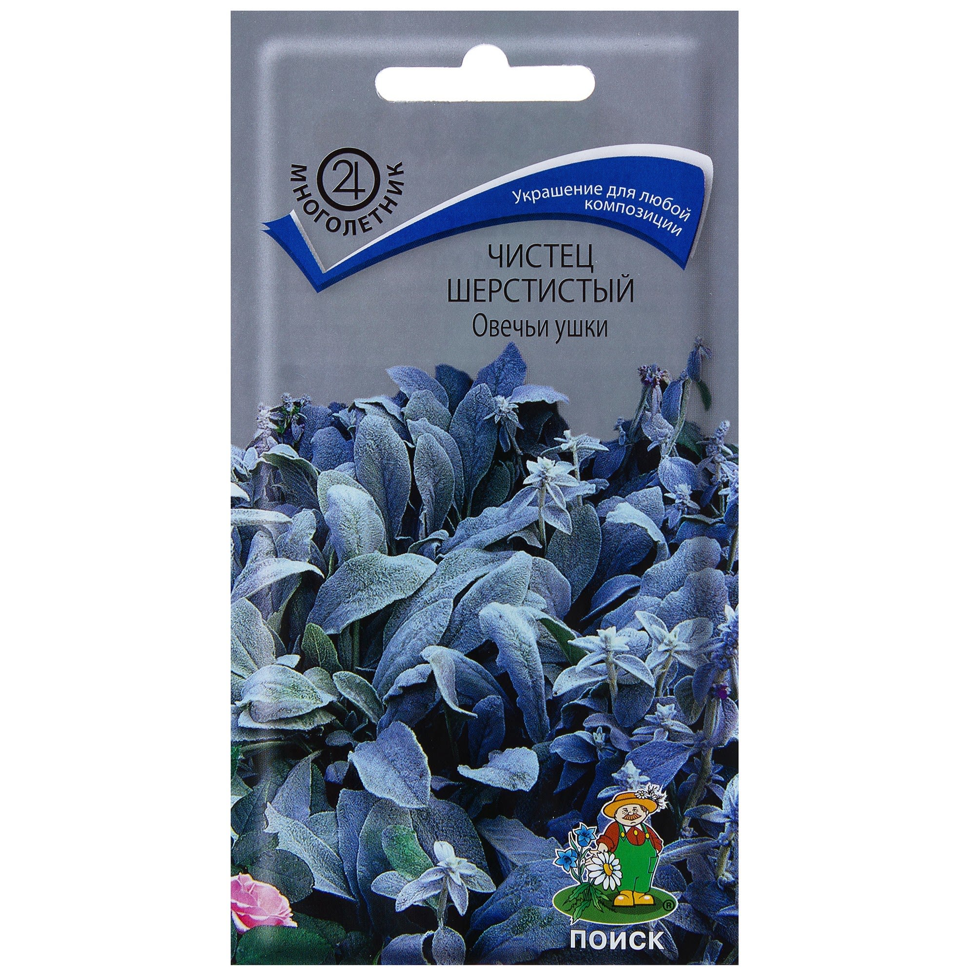 17229389 Чистец шерстистый «Овечьи ушки» Santreyd 