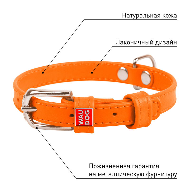 ПР0053779 Ошейник для собак Waudog Glamour без украшений (ширина 25мм, длина 38-49см) оранжевый COLLAR  - Вид №3