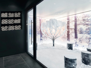 Snow sauna per spa